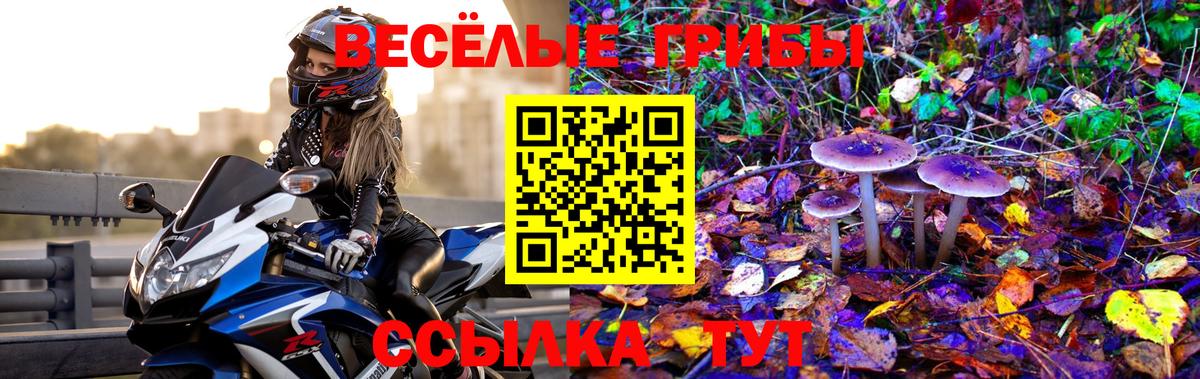 Еманжелинск  Псилоцибиновые грибы MAGIC MUSHROOMS  где купить наркоту  Вход с VPN 